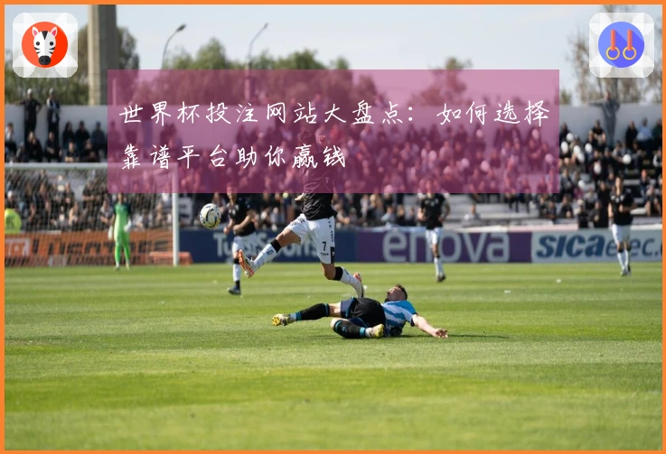 世界杯投注网站大盘点：如何选择靠谱平台助你赢钱