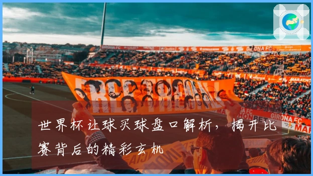 世界杯让球买球盘口解析，揭开比赛背后的精彩玄机