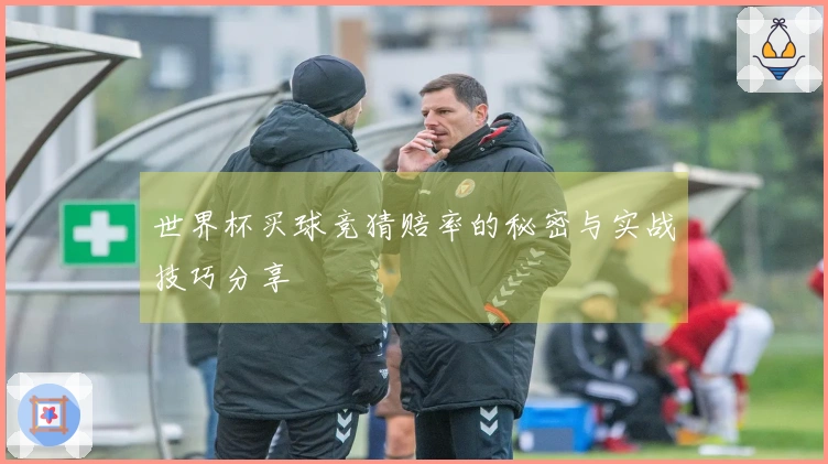 世界杯买球竞猜赔率的秘密与实战技巧分享