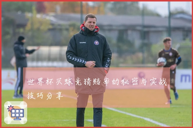 世界杯买球竞猜赔率的秘密与实战技巧分享