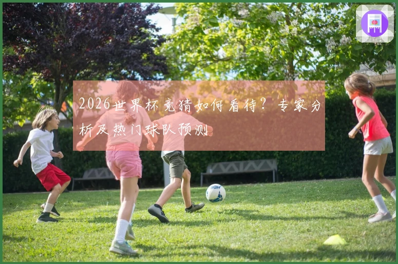 2026世界杯竞猜如何看待？专家分析及热门球队预测