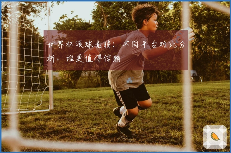 世界杯滚球竞猜：不同平台对比分析，谁更值得信赖