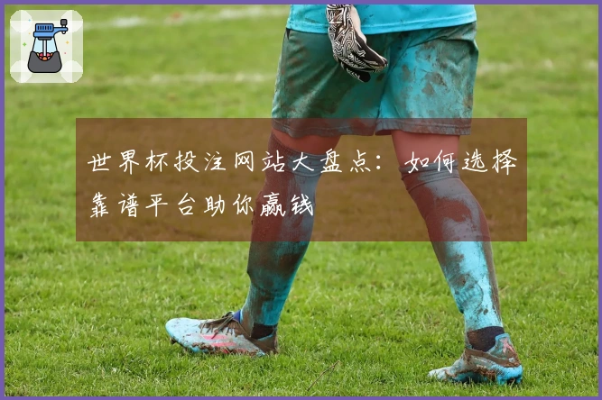 世界杯投注网站大盘点：如何选择靠谱平台助你赢钱