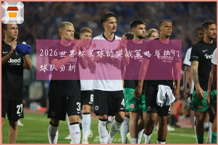 2026世界杯买球的实战策略与热门球队分析