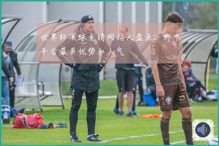 世界杯滚球竞猜网站大盘点：哪个平台最具优势和人气
